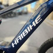 Haibike ALLMTN cf 9