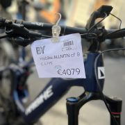 Haibike ALLMTN cf 9