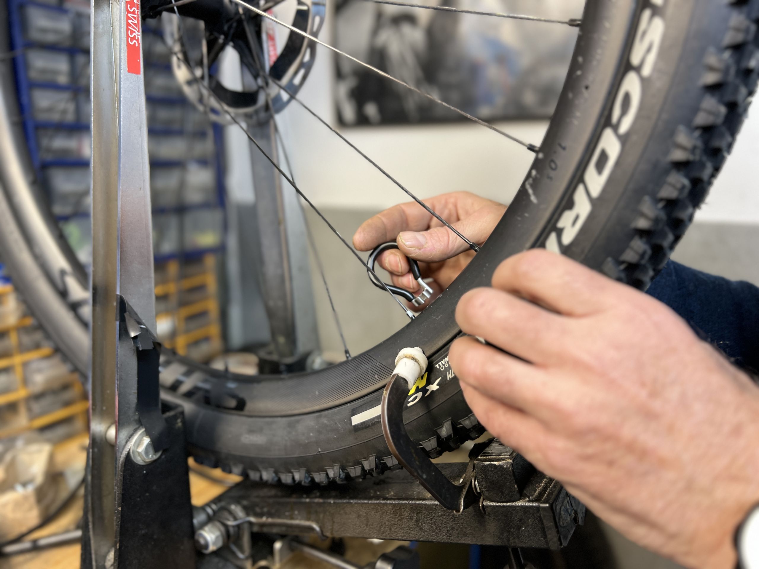Officina e riparazioni bici Florence by Bike
